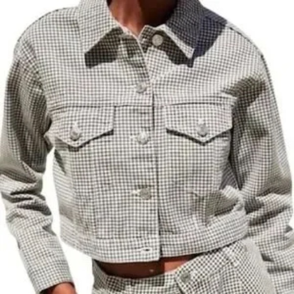 Zara gray gingham jacket XS